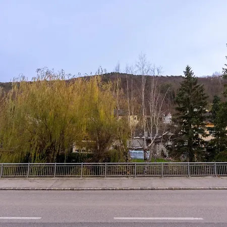 Coy - Nature Meets Style